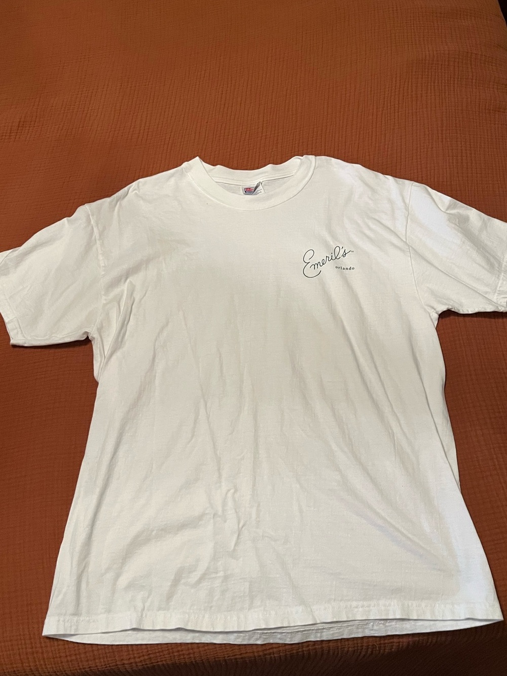 Hanes White Crew Neck T-Shirt with Small Script Logo